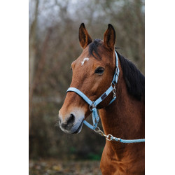 Nylon Halster Spring Equithème Nylon Halster Spring Equithème