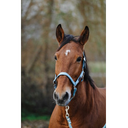 Nylon Halster Spring Equithème Nylon Halster Spring Equithème