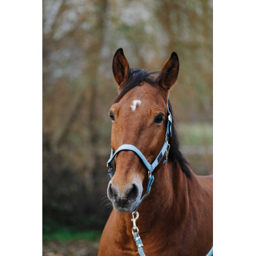 Nylon Halster Spring Equithème Nylon Halster Spring Equithème