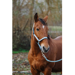 Nylon Halster Spring Equithème Nylon Halster Spring Equithème