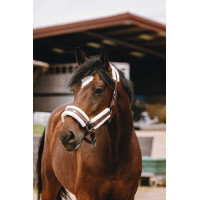 Nylon halster Equithème Fashion Bruin Nylon halster Equithème Fashion Bruin