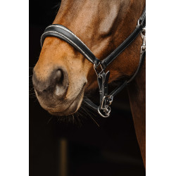 Leren halster Norton Rock Leren halster Norton Rock