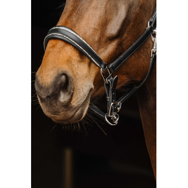 Leren halster Norton Rock Leren halster Norton Rock