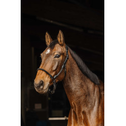 Leren/touw halster Norton Zwart