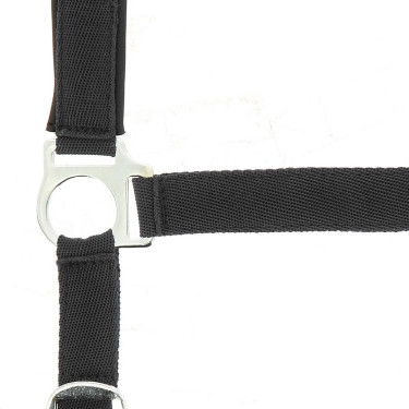 Halster Norton nylon gevoerd met neopreen Halster Norton nylon gevoerd met neopreen