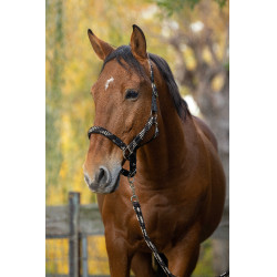 Halster + lijn Equitheme Gevlochten Beige / chocolade / zwart