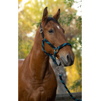 Halster + lijn Equitheme Gevlochten Beige / chocolade / zwart