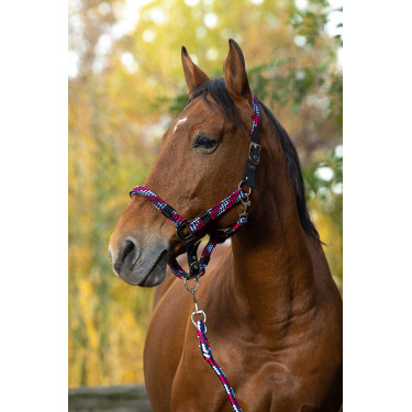 Halster + lijn Equitheme Gevlochten