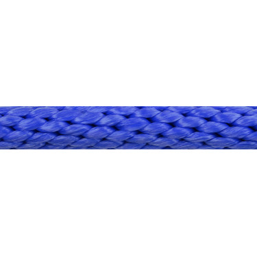 Lange teugel Norton Bright Veiligheid Blauw Lange teugel Norton Bright Veiligheid Blauw