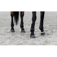Equithème gaiters Zwart Equithème gaiters Zwart