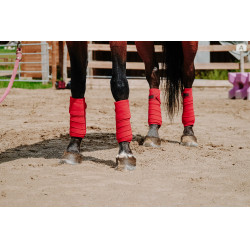 Polo bandages Equithème per 4