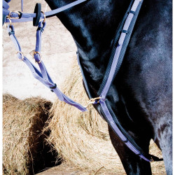 Collier de chasse Biotack T de T Violet Collier de chasse Biotack T de T Violet