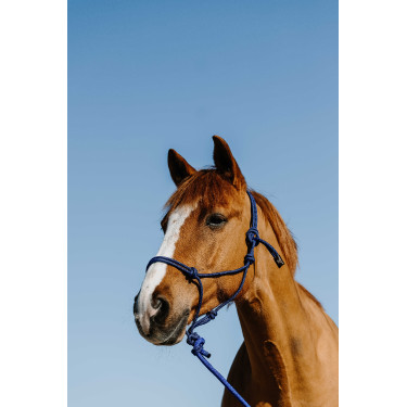 new Blauw / zwart new Blauw / zwart