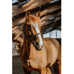 Halster Norton US Havana Bruin