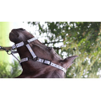 Licol Lami-Cell Midnight Leiblauw