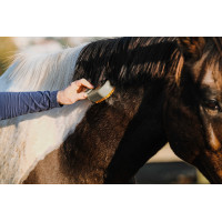 Roskam met handvat Hippotonic Vapeur Taupe Bruin