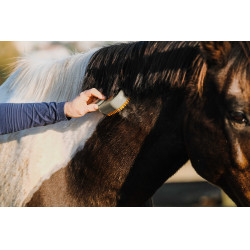 Roskam met handvat Hippotonic Vapeur Roskam met handvat Hippotonic Vapeur