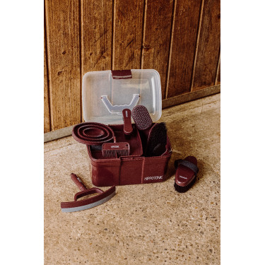 Zachte borstel Hippotonic Glitter Bordeaux