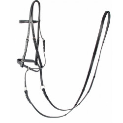 Bridon Bitless T van T