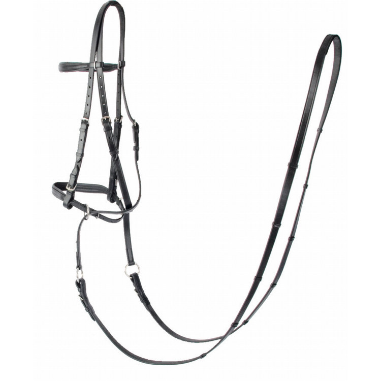 Bridon Bitless T van T