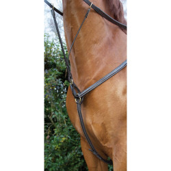 Dubbele borstriem met stiksels T van T Dubbele borstriem met stiksels T van T