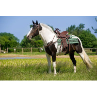 Westernzadel Westride Topeka