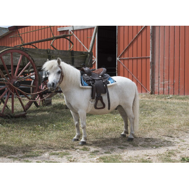 Westernzadel Westride Topeka Westernzadel Westride Topeka