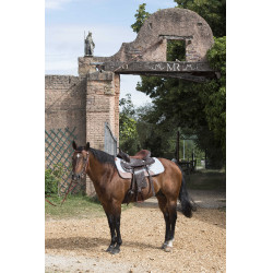 Paardendeken Westride vilt 16 mm Paardendeken Westride vilt 16 mm