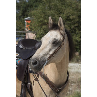 Bridon Westride door Franck Perret 1 oor Hazelnoot Bruin