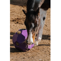 Anti-schrokbal Hippotonic voor hooi met meerdere gaten