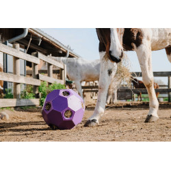 Anti-schrokbal Hippotonic voor hooi met meerdere gaten Violet