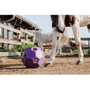 Anti-schrokbal Hippotonic voor hooi met meerdere gaten Anti-schrokbal Hippotonic voor hooi met meerdere gaten