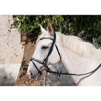 Leren hoofdstel Pissarot T de T Donker Havana Bruin Leren hoofdstel Pissarot T de T Donker Havana Bruin