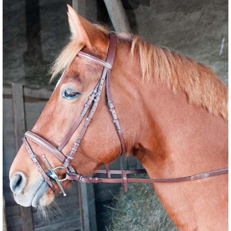 Bridon Sisley T met gecombineerde neusriem T van T