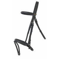 Bridon Sisley T met gecombineerde neusriem T van T Donker Havana Bruin