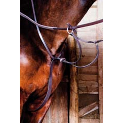 Martingale cuir T de T Havane foncé