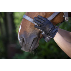 Handschoenen Equithème Soft leer Zwart
