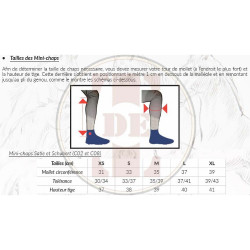Mini chaps leer Schubert T de T Mini chaps leer Schubert T de T