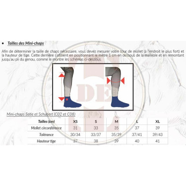 Mini chaps leer Schubert T de T Mini chaps leer Schubert T de T