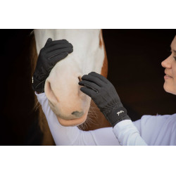 Pénélope Winter Handschoenen Zwart Pénélope Winter Handschoenen Zwart