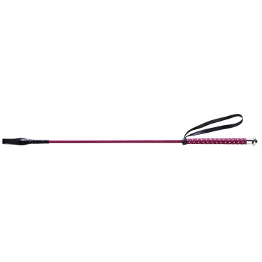 Cravache Whip & Go Punten Cravache Whip & Go Punten