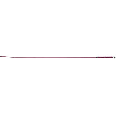 Dressuurzweep Whip & Go Points Dressuurzweep Whip & Go Points