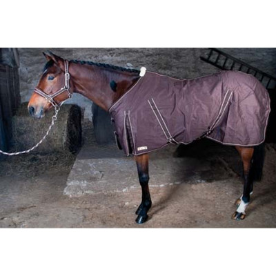 Chemise coton T de T Marron foncé