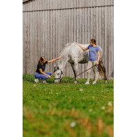 T-shirt Ik hou van je Equithème Rosalie Zwart T-shirt Ik hou van je Equithème Rosalie Zwart