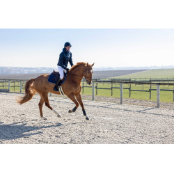 Gewatteerde jas Pro Series Diagonal Marineblauw Gewatteerde jas Pro Series Diagonal Marineblauw