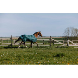 Equithème TYREX 600D deken Groen