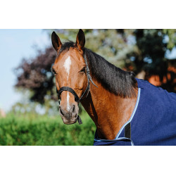 Presentatiemap Riding World Presentatiemap Riding World