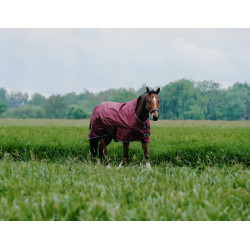 Equithème TYREX 1200D High Neck deken Bordeaux Equithème TYREX 1200D High Neck deken Bordeaux