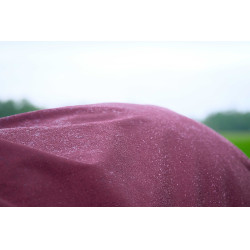 Equithème TYREX 1200D High Neck deken Bordeaux Equithème TYREX 1200D High Neck deken Bordeaux
