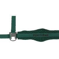 Nylon halster Equithème 3D Mesh Koningsblauw Nylon halster Equithème 3D Mesh Koningsblauw